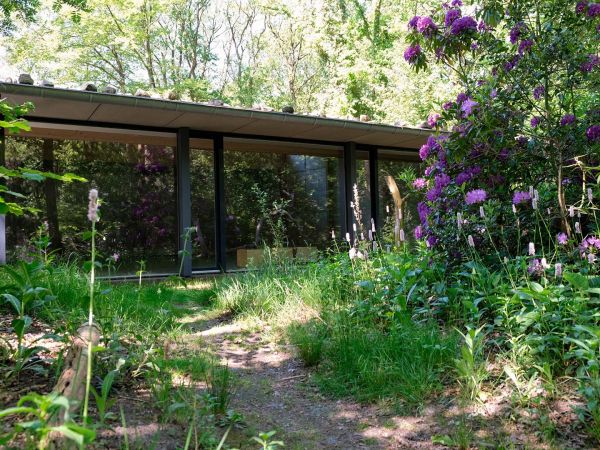 De Buitenzaal in bloemrijk groen